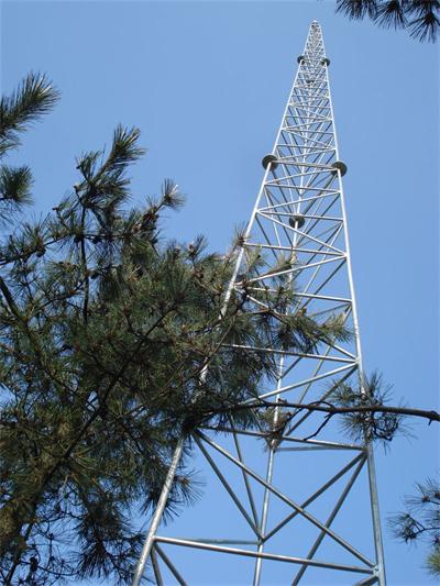 河北樓頂避雷針?biāo)r格