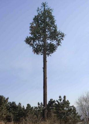 邢臺仿生樹避雷塔生產(chǎn)廠家