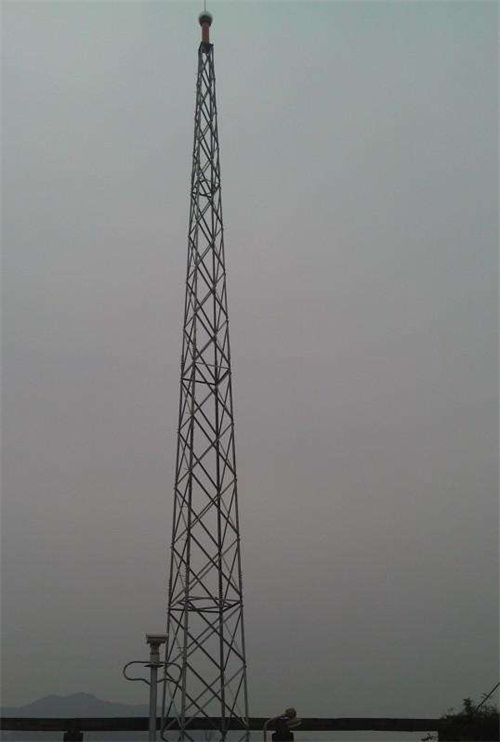 北京20米鋼結(jié)構(gòu)避雷針?biāo)S家