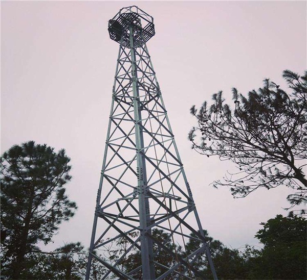 森林監(jiān)控塔是怎樣制作的？
