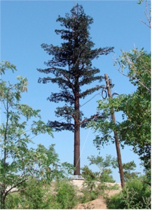 仿生樹(shù)塔生產(chǎn)