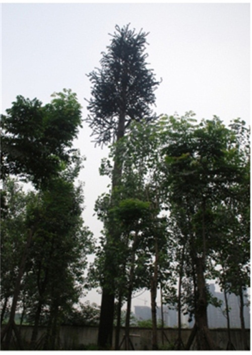 通訊塔仿生樹(shù)